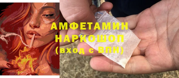 молекула духа Алексеевка
