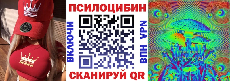 mega вход  дарнет шоп  Хотьково  Галлюциногенные грибы GOLDEN TEACHER 